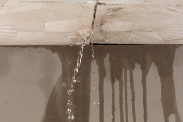 Professional Structural Drying technician working in Sanborn, NY